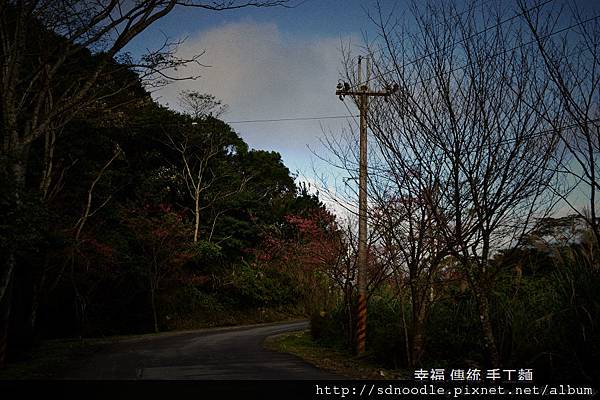 新北市-石碇櫻花二格道路 (9).jpg