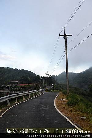 石碇八卦茶園-千島湖[新北市旅遊,一日遊] (31) (42)