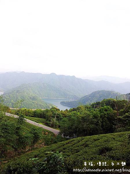 永安社區-茶園20130403_155727