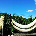 20130824_103018.jpg