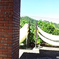 20130824_103032.jpg