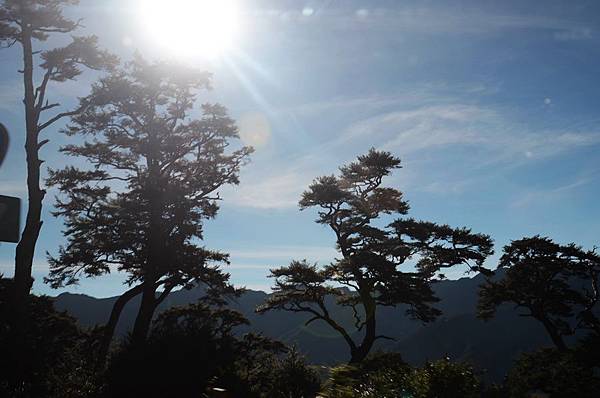 taiwan旅遊/南投清靜/合歡山週邊/