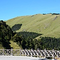 南投清靜/合歡山週邊/台灣旅遊