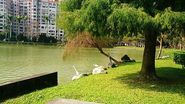 台北.內湖/碧湖公園