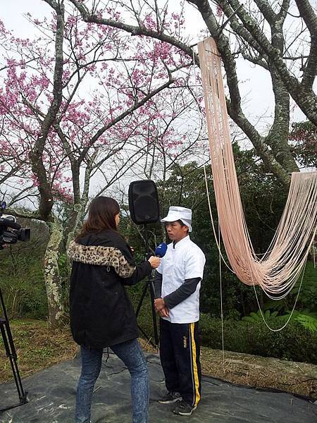 新北櫻花季 石碇小格頭苗圃/櫻花小旅行記者會