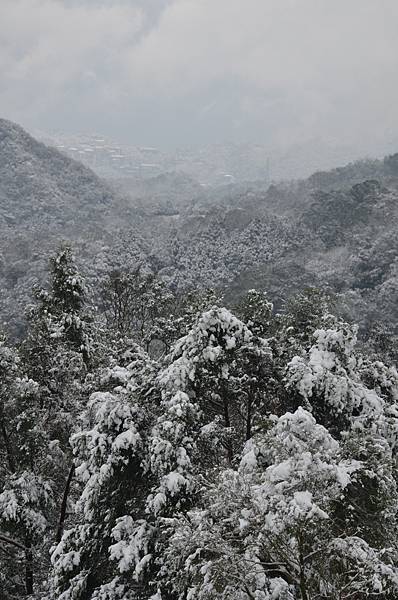 石碇下雪了,2016/1/24