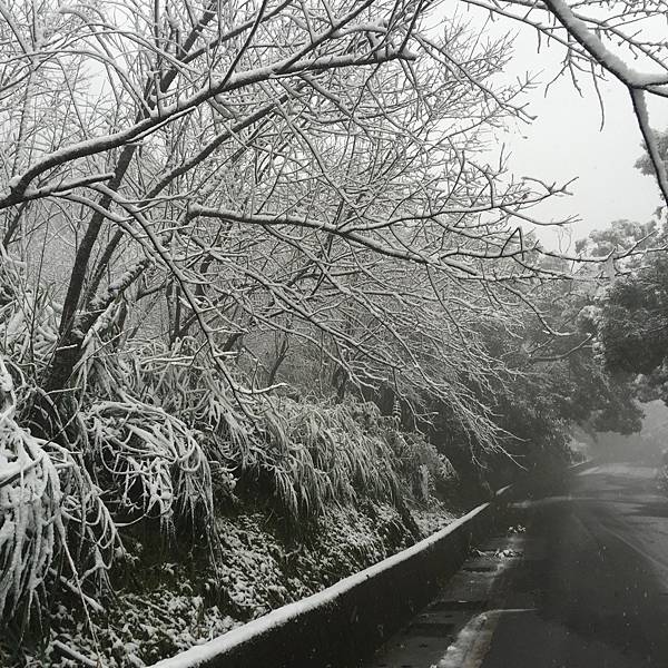 石碇下雪了,2016/1/24