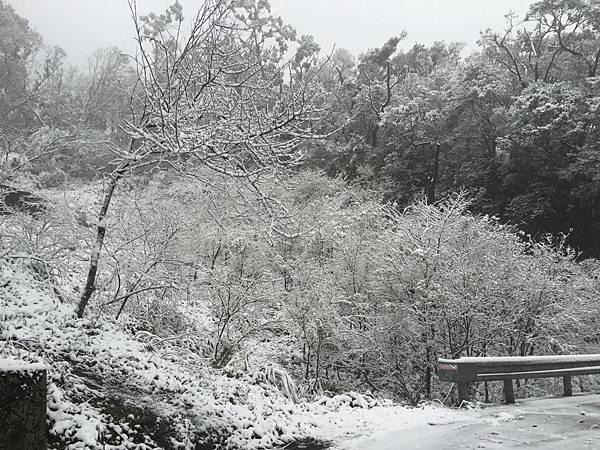 石碇下雪了,2016/1/24