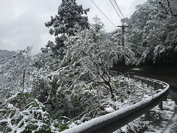 石碇賞雪,一日遊2016/1/24