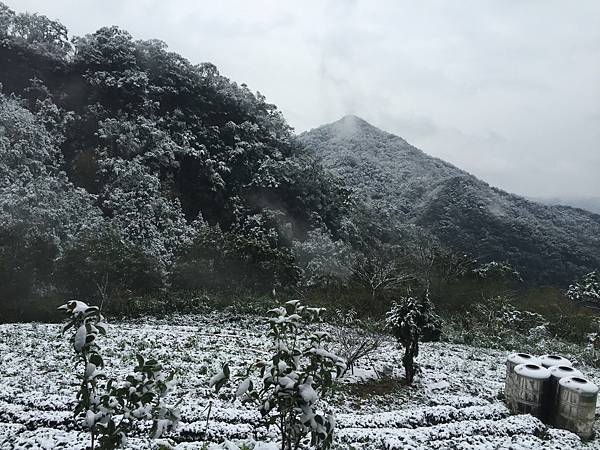 石碇賞雪,一日遊2016/1/24