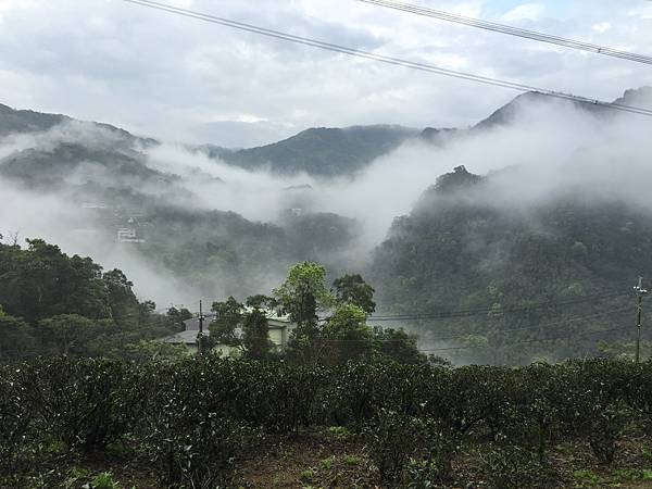 IMG_2560.JPG IMG_2560.JPG