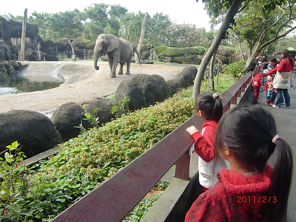 2011新年初一-木柵動物園CIMG1134.JPG