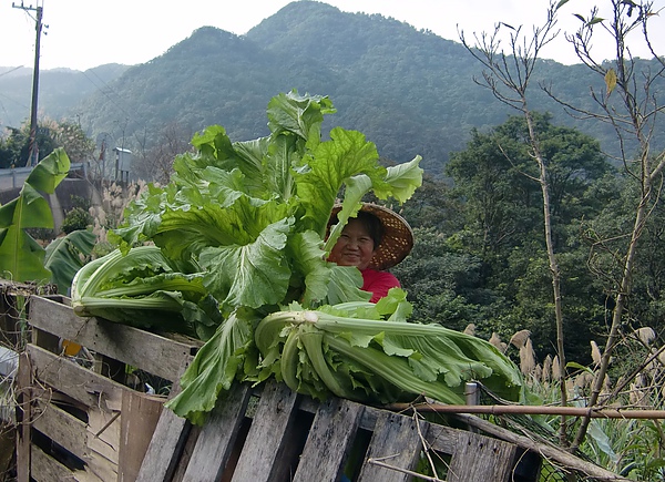 媽媽的笑容.jpg