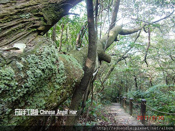 石碇皇帝殿-往東峰 (13).JPG