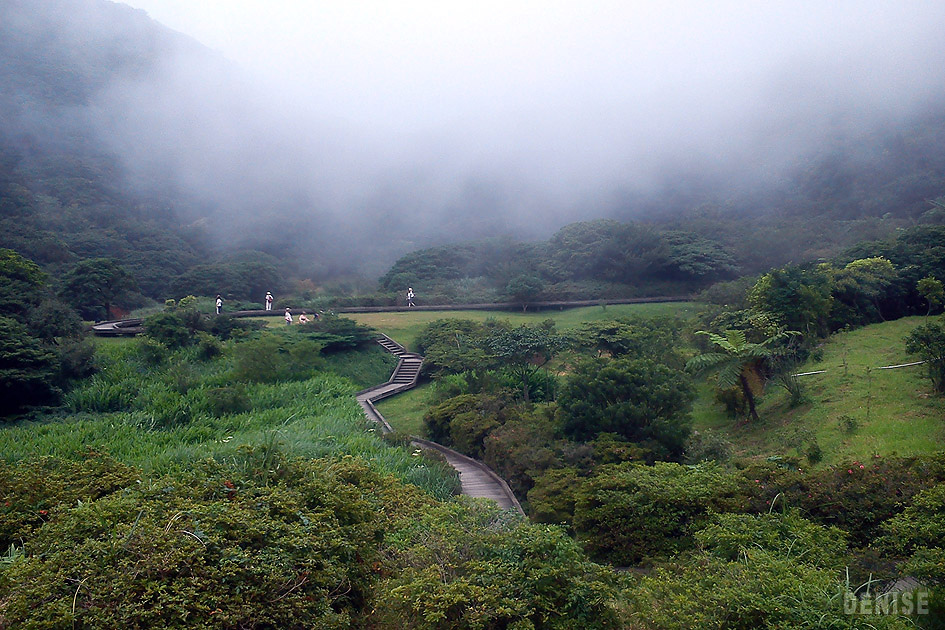 DSC_1374.jpg DSC_1374.jpg