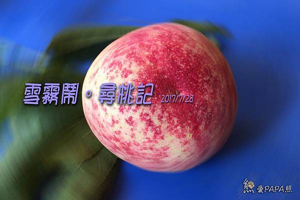 標題.jpg 標題.jpg