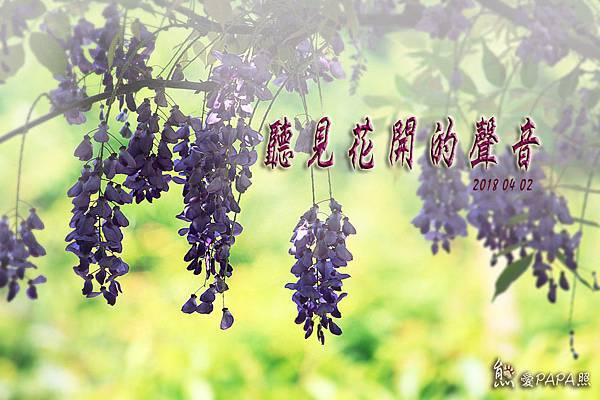 標題.jpg 標題.jpg