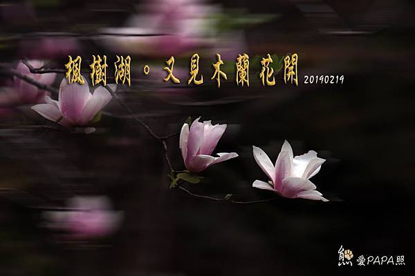標題.jpg 標題.jpg