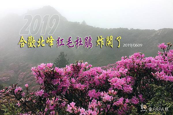 標題.jpg 標題.jpg