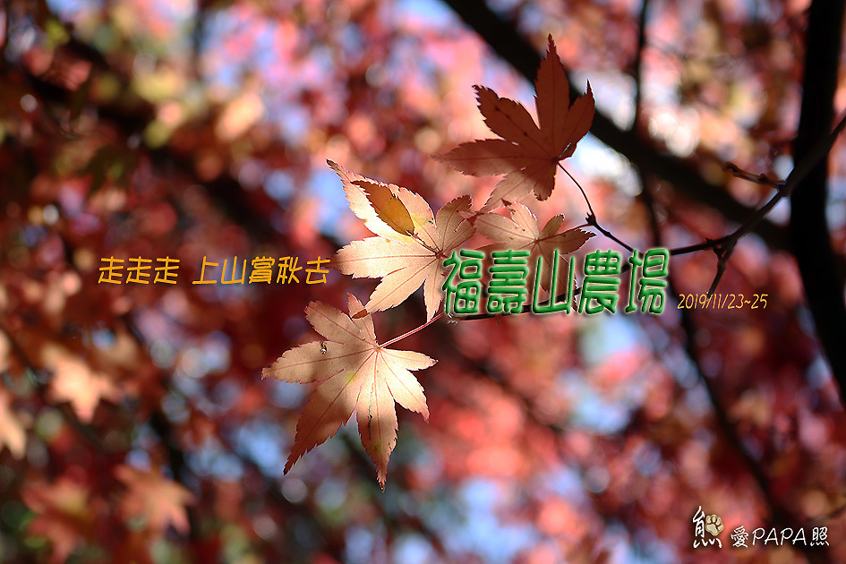 標題1.jpg 標題1.jpg