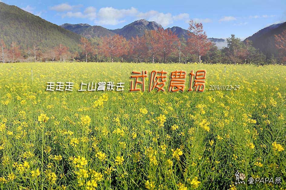 標題3.jpg 標題3.jpg