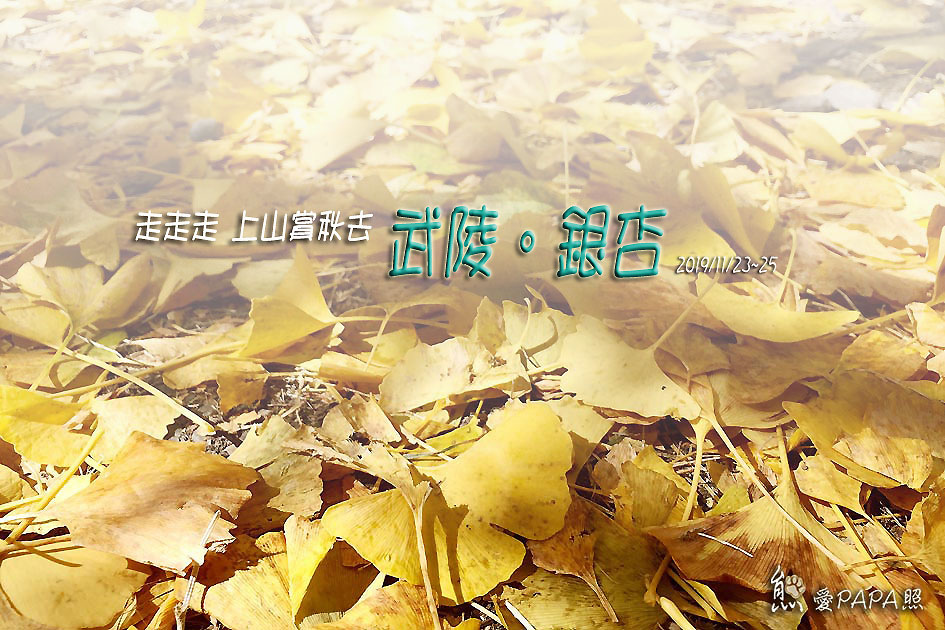 標題4.jpg 標題4.jpg