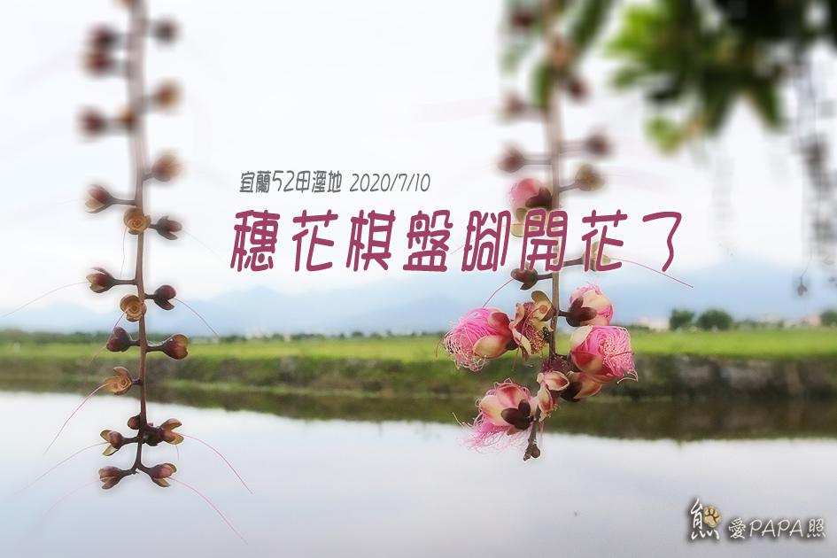 標題.jpg 標題.jpg