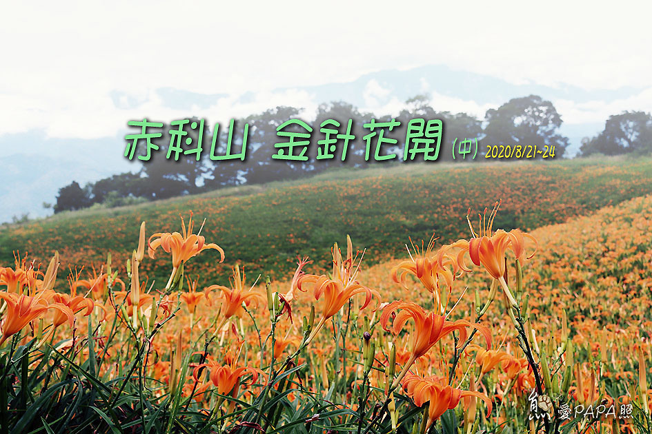 標題2.jpg 標題2.jpg