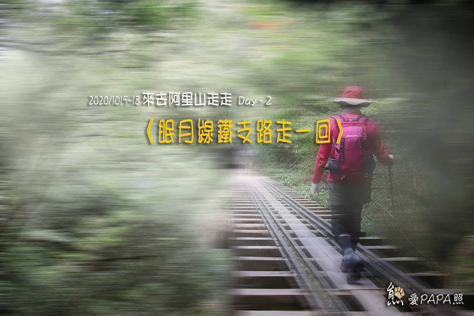 來去阿里山走走day2 眠月線鐵支路走一回 熊愛papa照 痞客邦