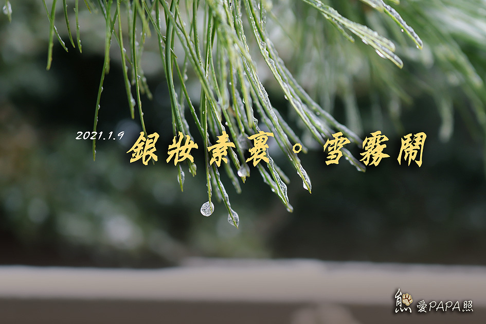 標題.jpg 標題.jpg