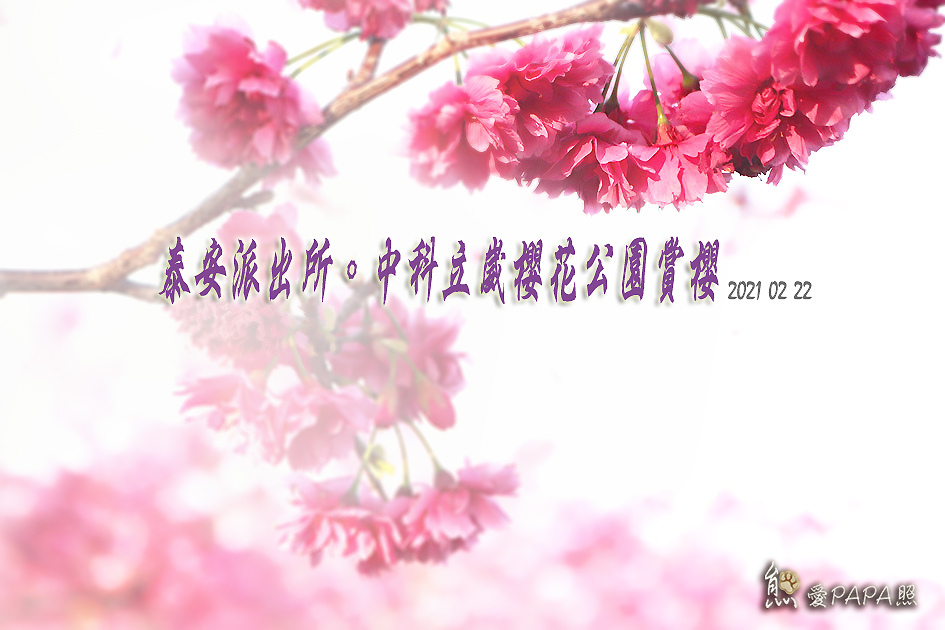 標題.jpg 標題.jpg