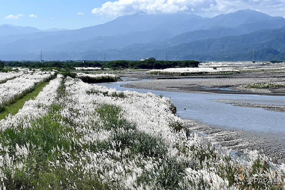 芃芃野溪溫泉