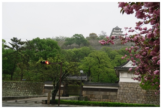 IMG_0519_副本.jpg IMG_0519_副本.jpg