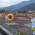 關山池上花海