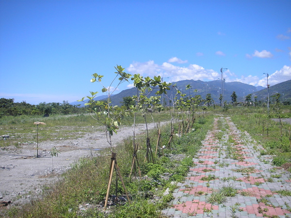 2009.06.16 掰了，知本校區。