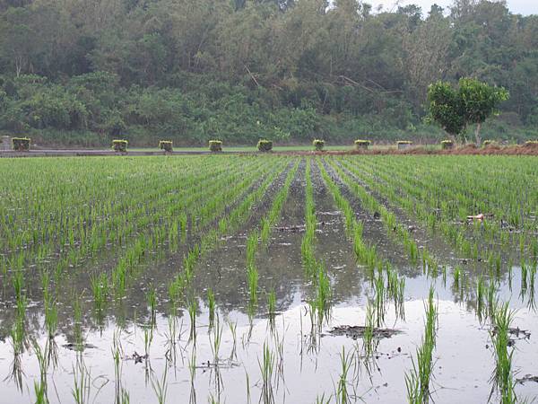 IMG_6492.JPG IMG_6492.JPG