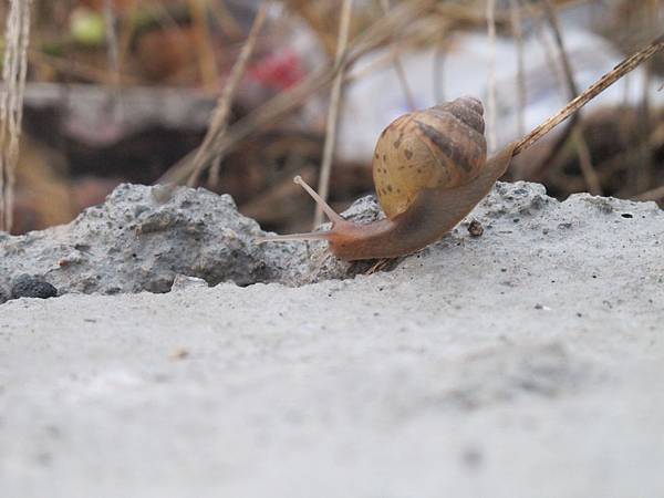 IMG_6495.JPG IMG_6495.JPG