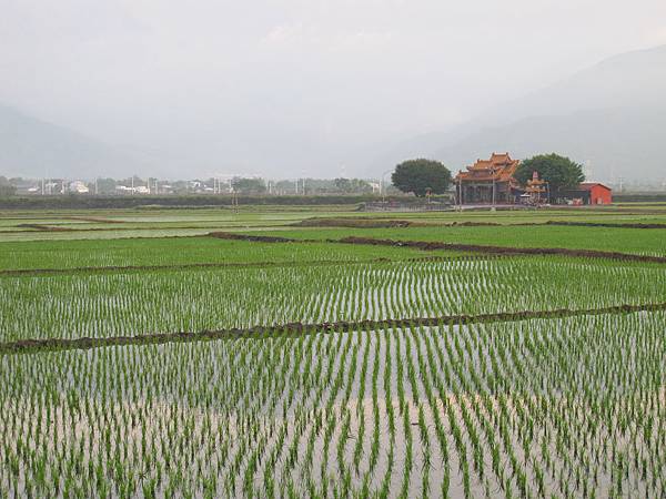 IMG_6506.JPG IMG_6506.JPG