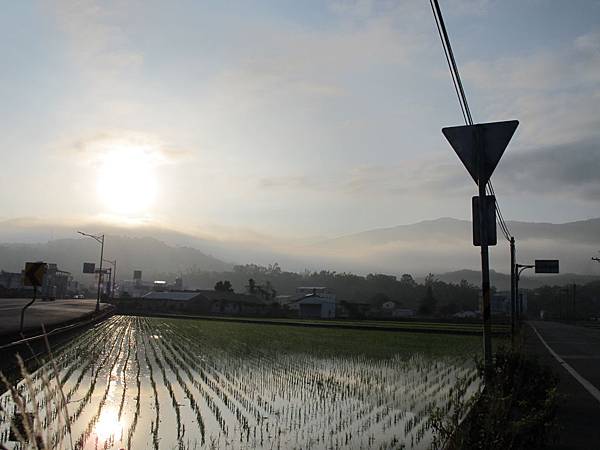 IMG_6560.JPG IMG_6560.JPG