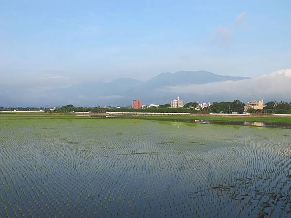 IMG_6573.JPG IMG_6573.JPG