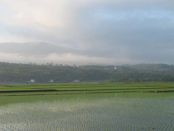 IMG_6581.JPG IMG_6581.JPG