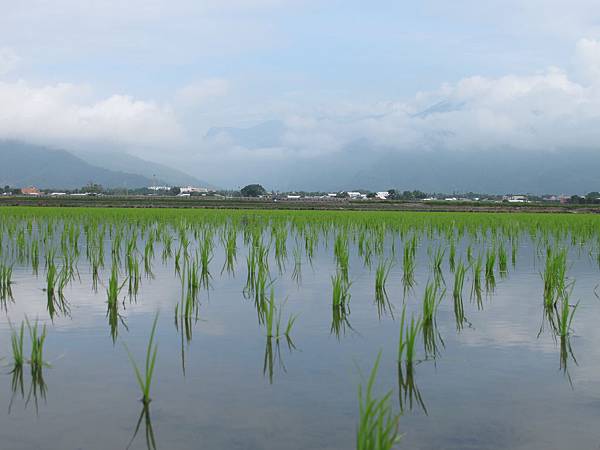 IMG_6767.JPG IMG_6767.JPG