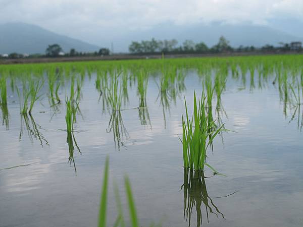 IMG_6771.JPG IMG_6771.JPG