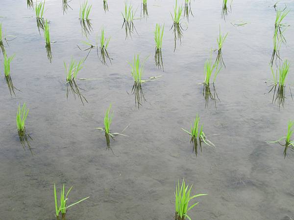 IMG_6773.JPG IMG_6773.JPG