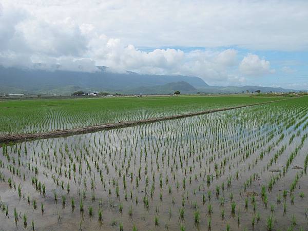 IMG_6853.JPG IMG_6853.JPG