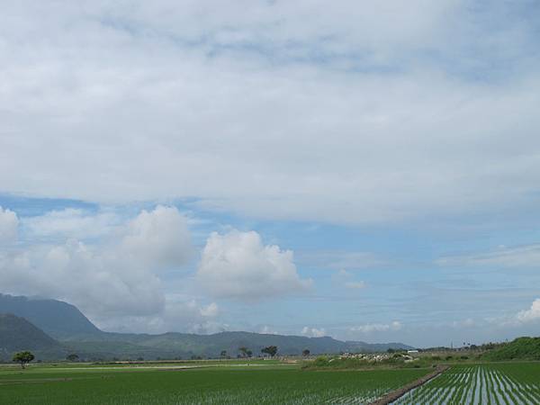 IMG_6856.JPG IMG_6856.JPG