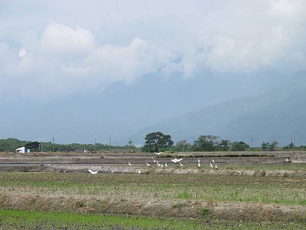 IMG_6859.JPG IMG_6859.JPG