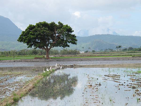 IMG_6863.JPG IMG_6863.JPG