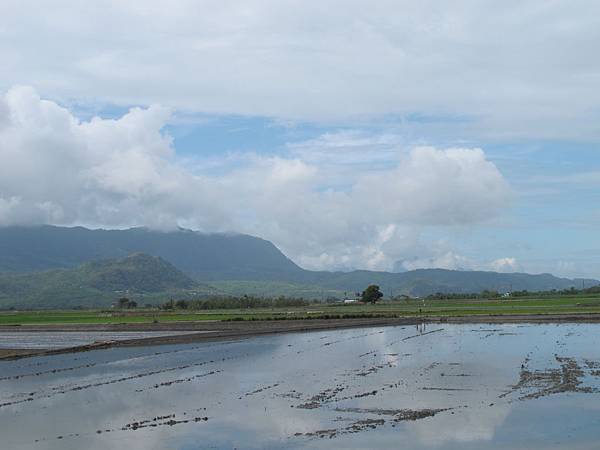 IMG_6871.JPG IMG_6871.JPG