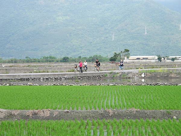 IMG_6873.JPG IMG_6873.JPG